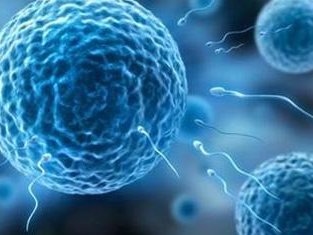 2026温州医科附属第一医院三代试管费用发布附省钱攻略