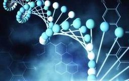 百色做试管婴儿多少钱？做试管婴儿成功率分享